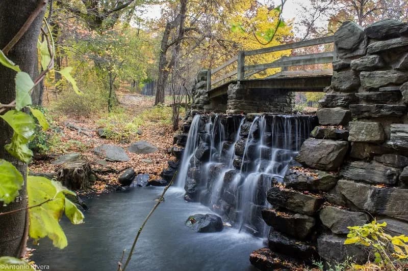 View of Tibbetts Brook Park in Yonkers, NY