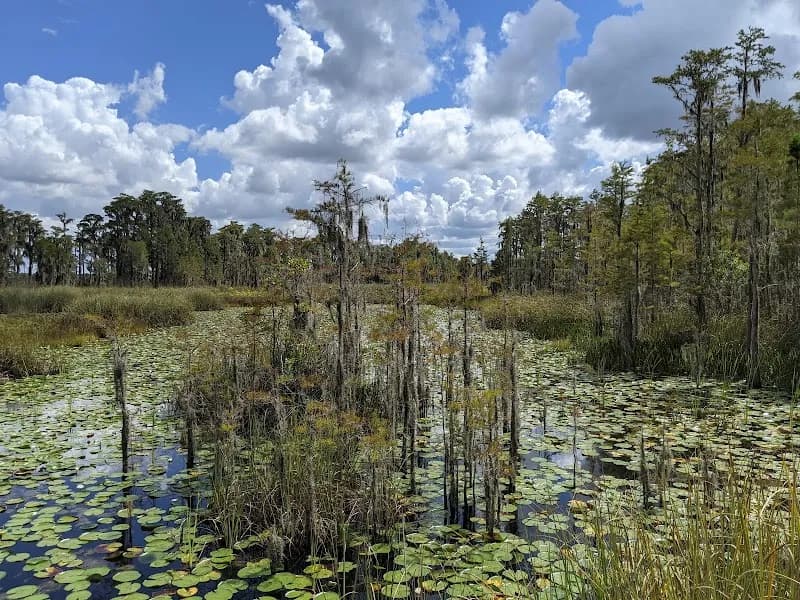 View of Tibet-Butler Nature Preserve in Dr. Phillips, FL