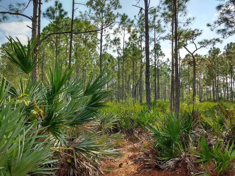 View of Tibet-Butler Nature Preserve in Dr. Phillips, FL
