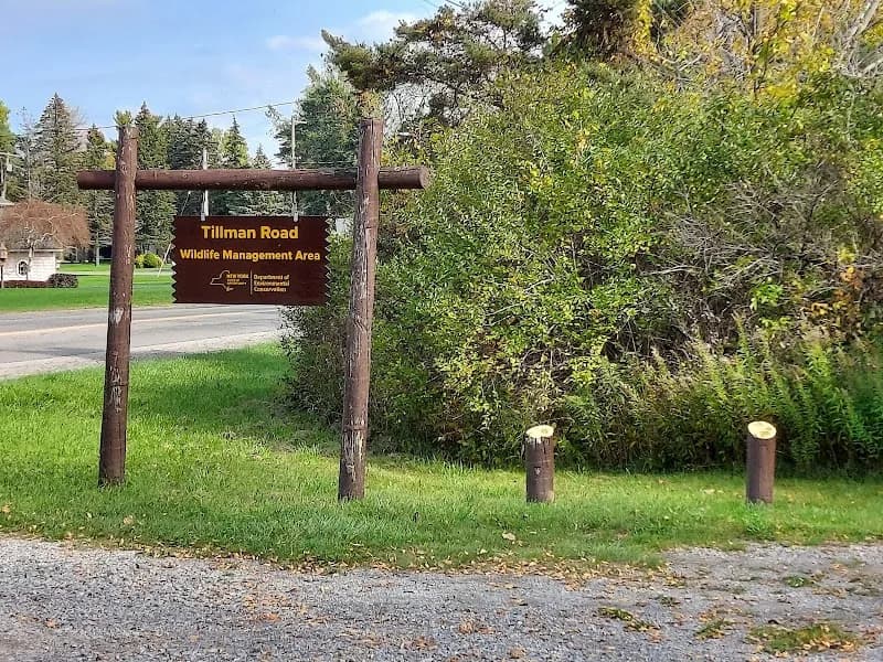 View of Tillman Road Wildlife Management Area in Clarence, NY
