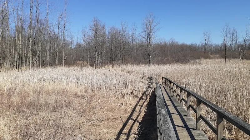 View of Tillman Road Wildlife Management Area in Clarence, NY