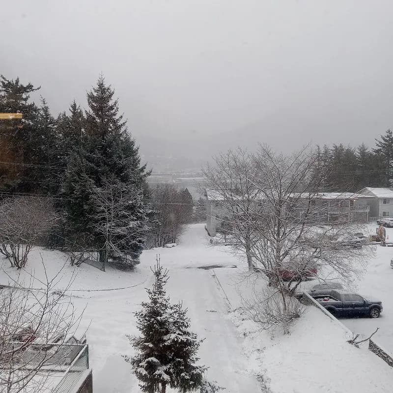 View of Tlingit & Haida Indian Tribes in Juneau, AK