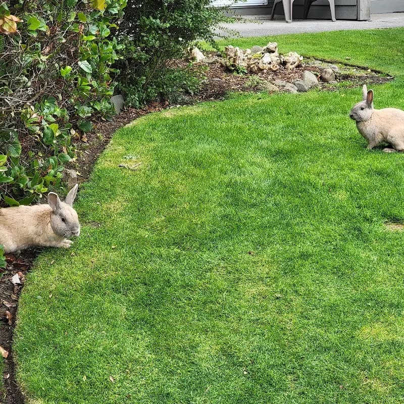 View of Tolovana Beach State Recreation Site in Cannon Beach, OR