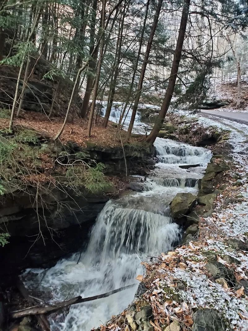 View of Tomlinson Run State Park in Fort Wayne, IN