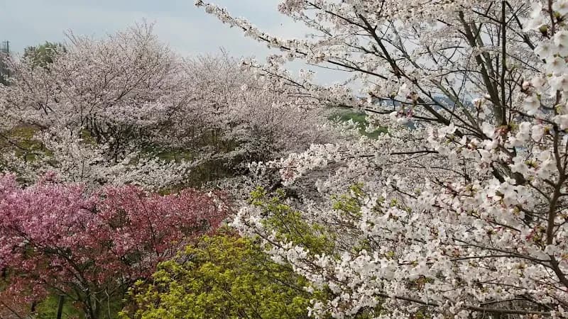 View of Tondabayashi Agricultural Park - Savor Farm in Tondabayashi, Osaka