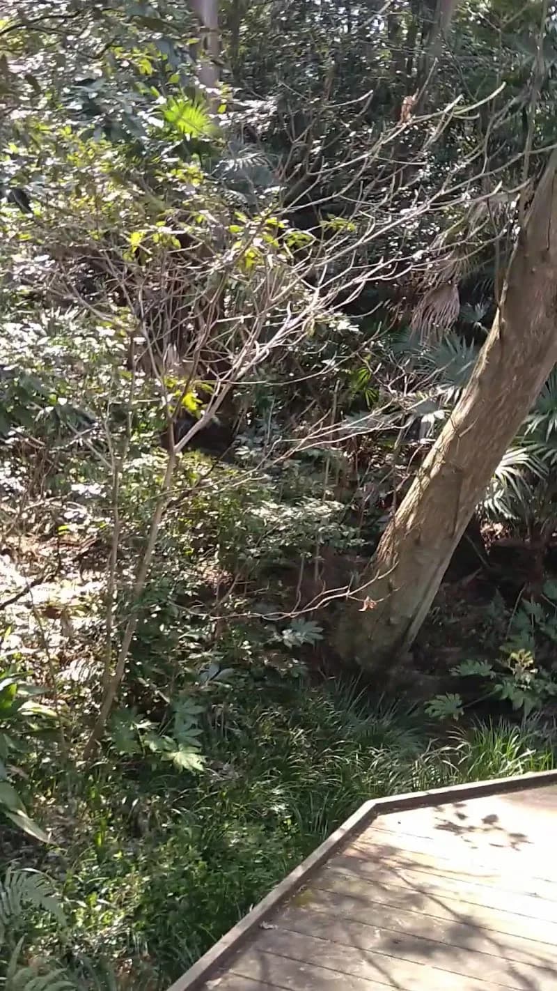 View of Totsuka Park in Totsuka, Kanagawa