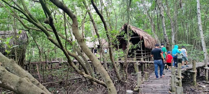 View of Tourism Rung Sac Can Gio in Nha Be, HCMC