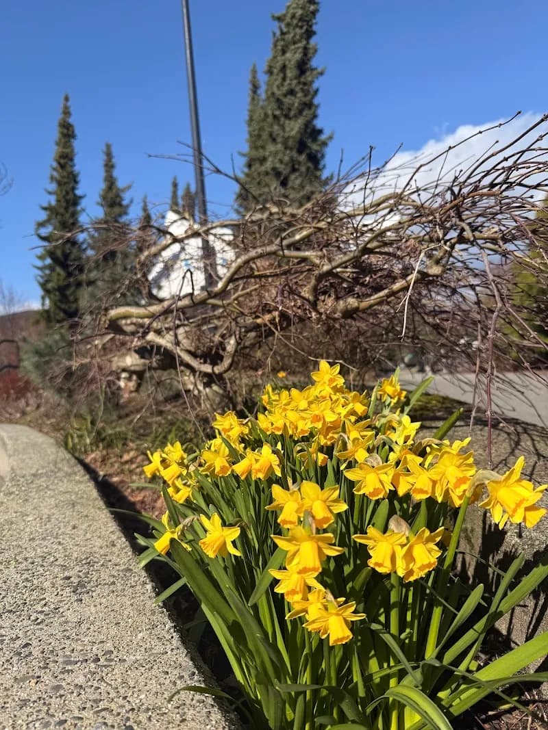 View of Town Centre Park in Port Coquitlam, BC
