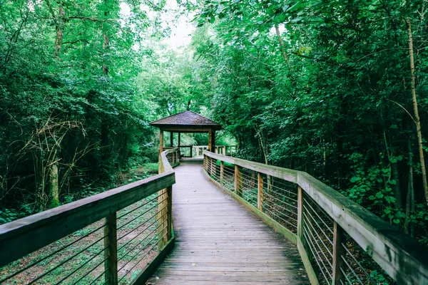 View of Town Creek Park in Auburn, AL