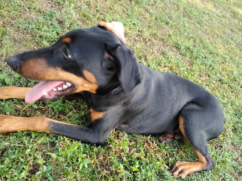 View of Town 'N Country Park in Town 'n' Country, FL