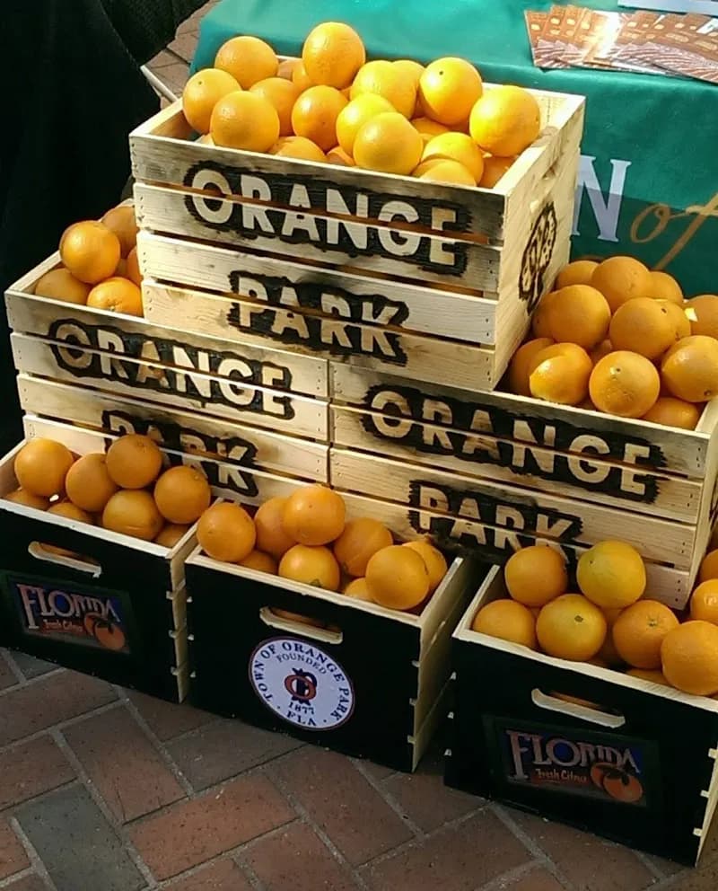 Town of Orange Park city hall in Orange Park, FL