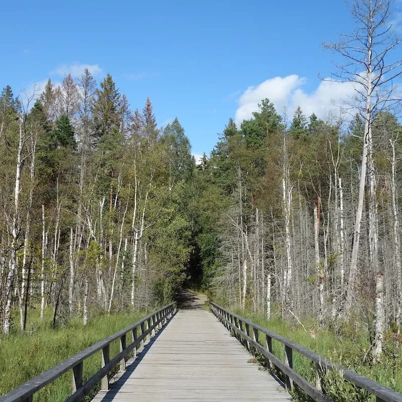 View of Träkumla Adventure Park in Tyresö, Stockholm
