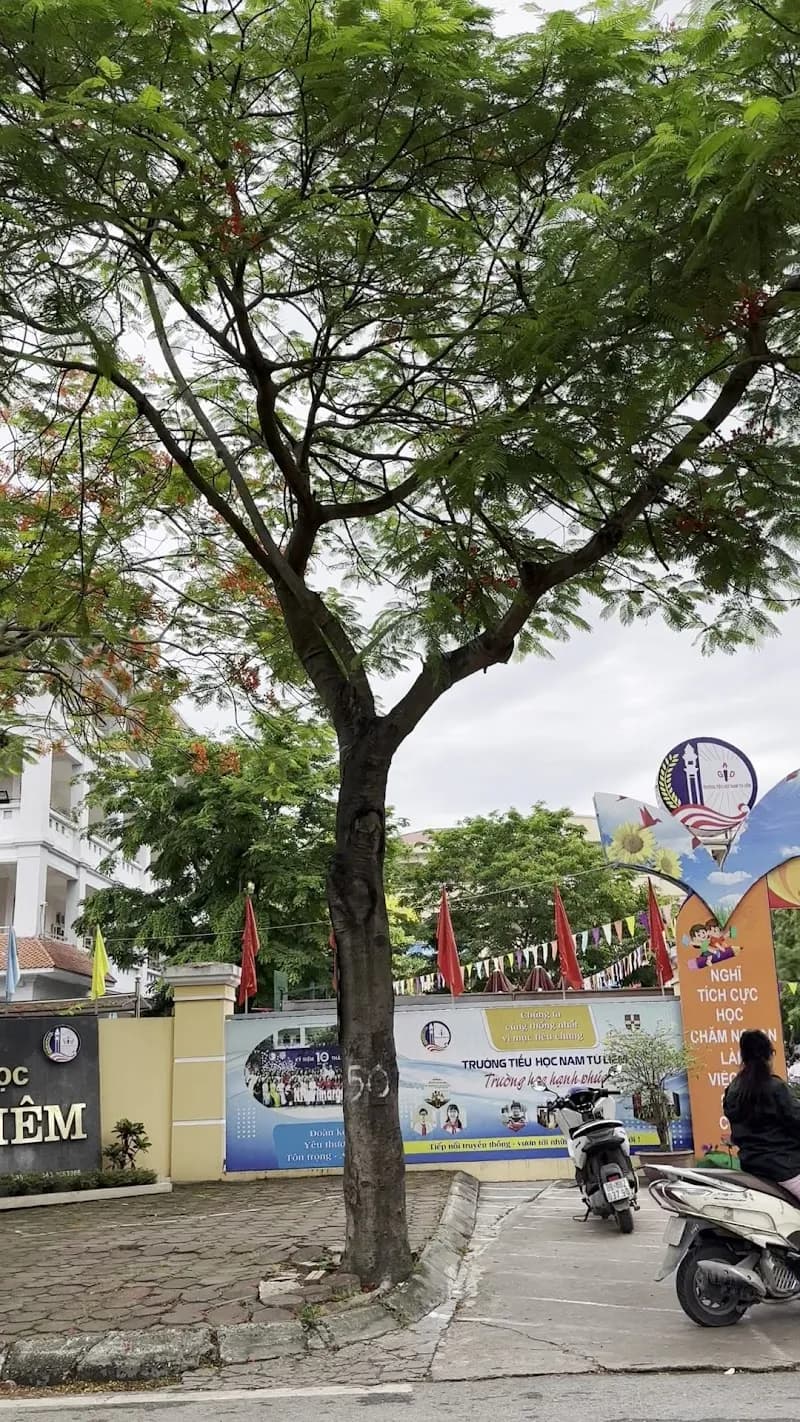 View of Trường Tiểu học Từ Liêm - Community Sports Complex in Từ Liêm, HN