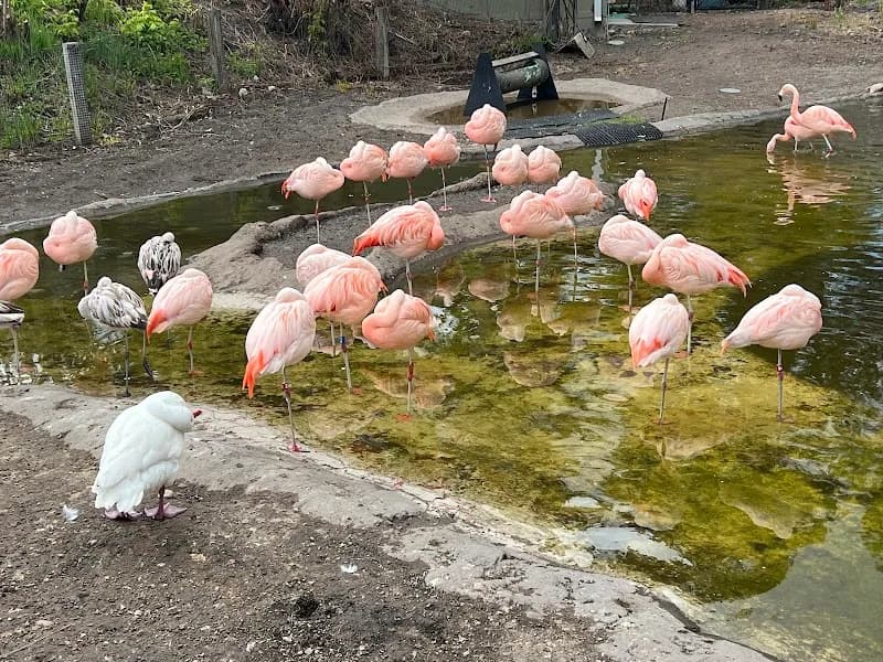 View of Tracy Aviary at Liberty Park in Salt Lake City, UT
