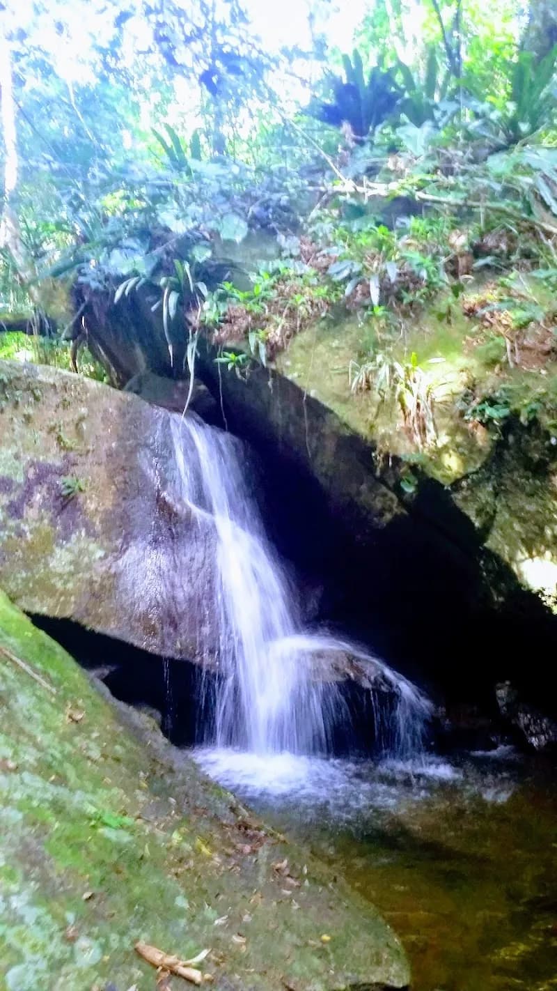 View of Trail Jequitibá Rosa in Cachoeiras de Macacu, RJ