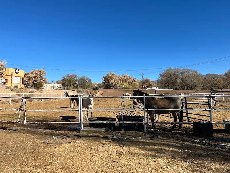 View of Trail Rides at Running Horse Ranch in Los Ranchos de Albuquerque, NM