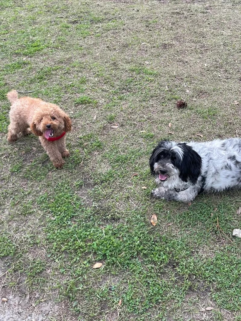 View of Trails for Tails in Nocatee, FL