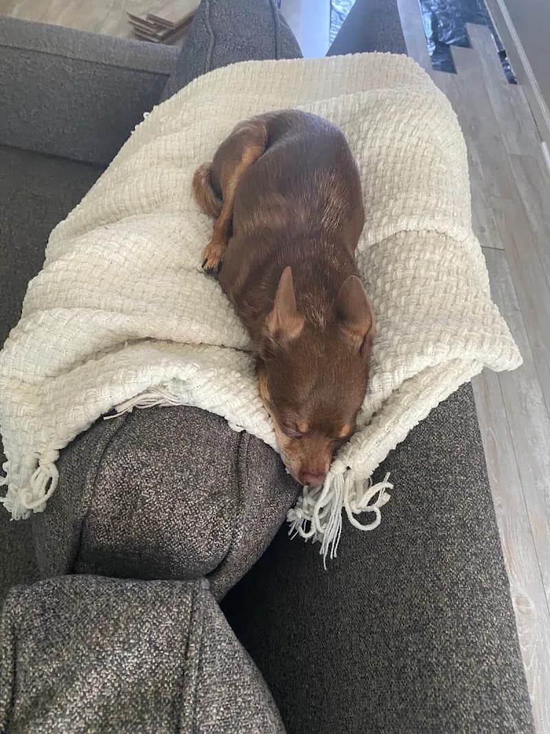 View of Trails for Tails in Nocatee, FL