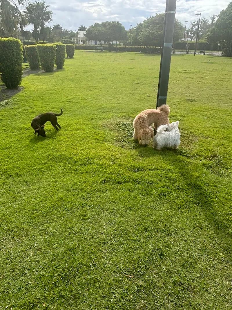 View of Trails & Tails Park in Doral, FL