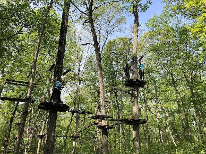 TreeTrails Adventures Mystic tourist attraction in Mystic, CT