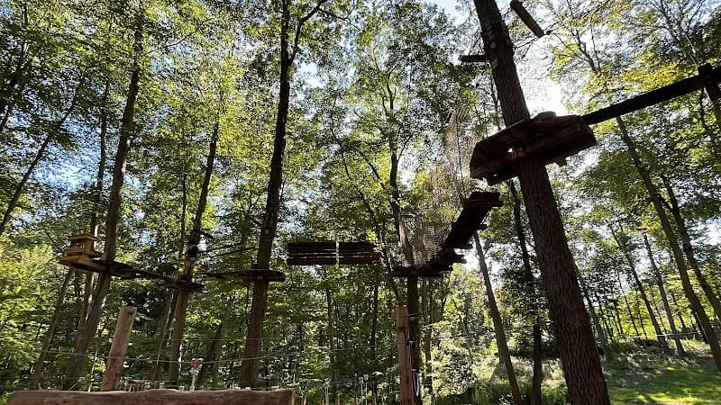 View of TreeTrails Adventures Mystic in Mystic, CT