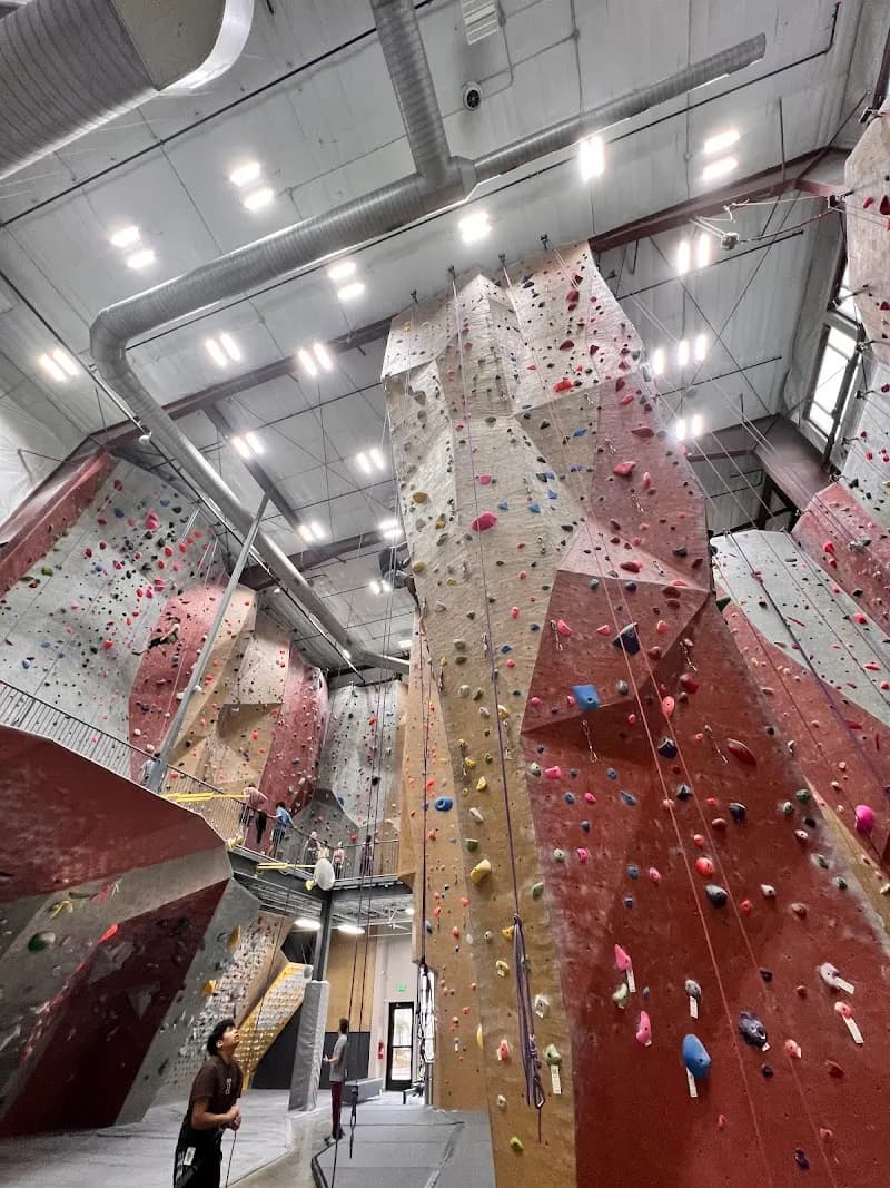 Triangle Rock Club - Morrisville childrens camp in Morrisville, NC