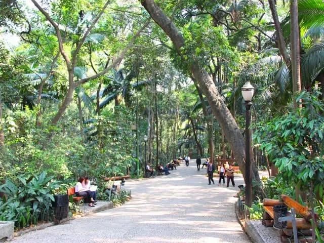 Trianon - Tenente Siqueira Campos city park in Sao Paulo, SP