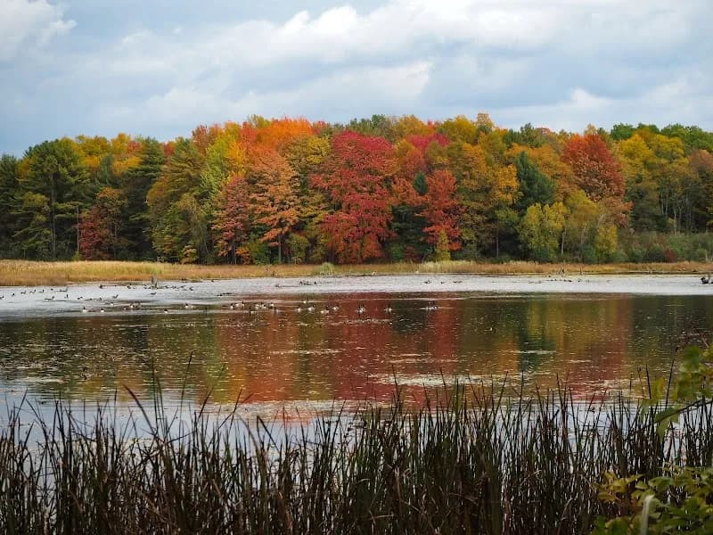 View of Trillium Nature Center / Buffalo Audubon Society in Amherst, NY