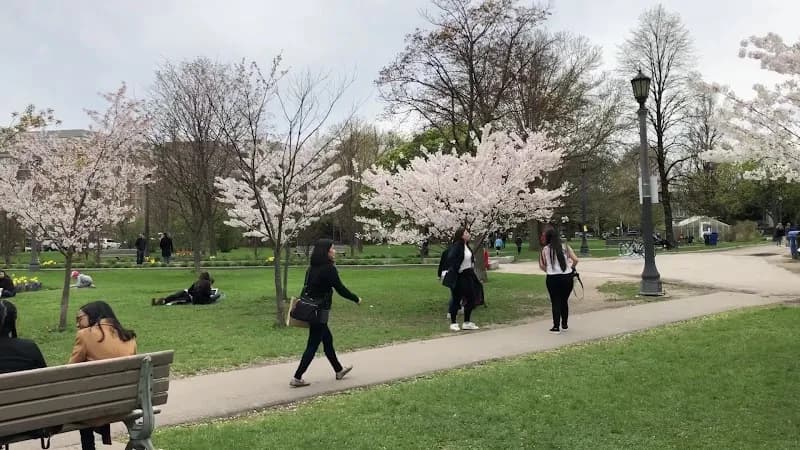 View of Trinity Bellwoods Park in Toronto, ON