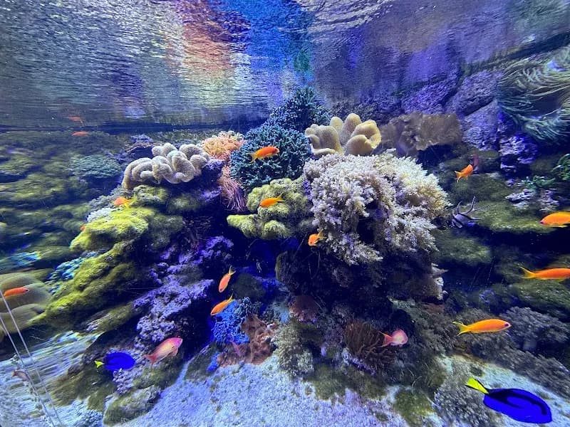 View of Tropicarium-Oceanarium Kft. in Budapest, BUD