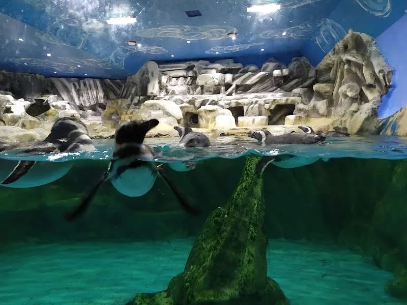 View of Tropicarium Park in Venice, VN