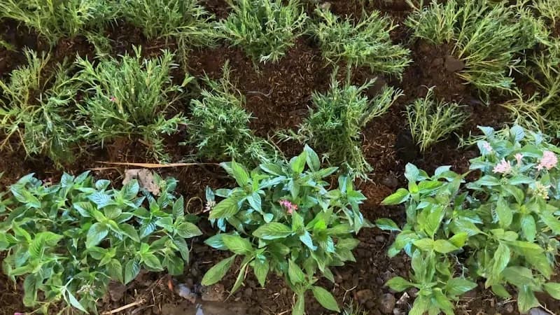 View of Trung Tâm Văn Hóa Thể Thao Huyện Bình Chánh in Binh Chanh, HCMC