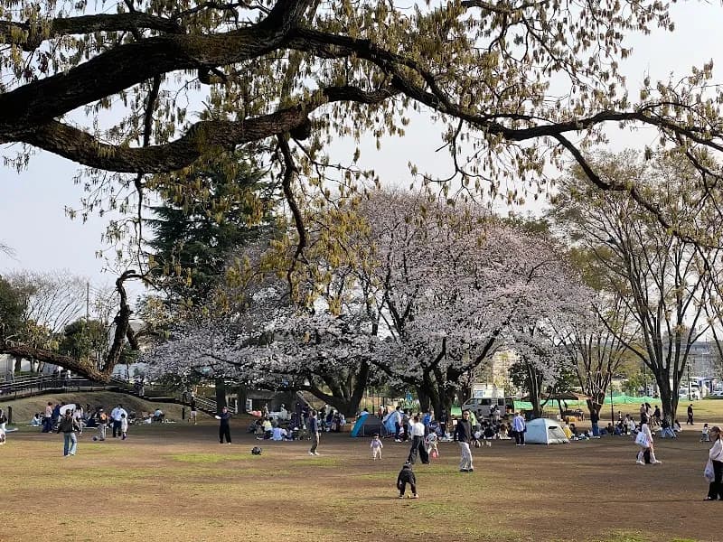 View of Tsuruma Park in Machida, Tokyo