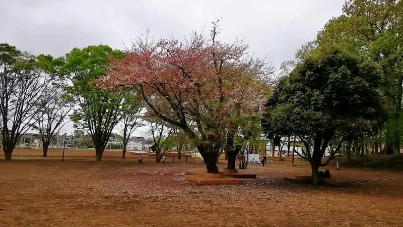 View of Tsuruma Park in Machida, Tokyo