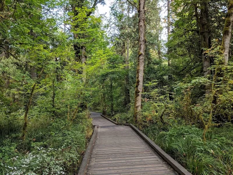 View of Tualatin Hills Nature Park in Beaverton, OR