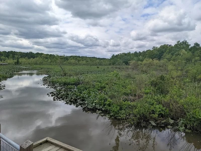 View of Tuckahoe Creek Park in Tuckahoe, VA