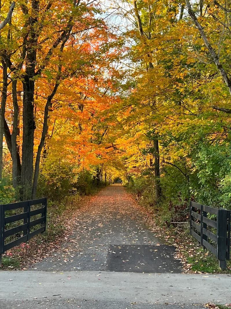 View of Turkey Foot Nature Park in Zionsville, IN