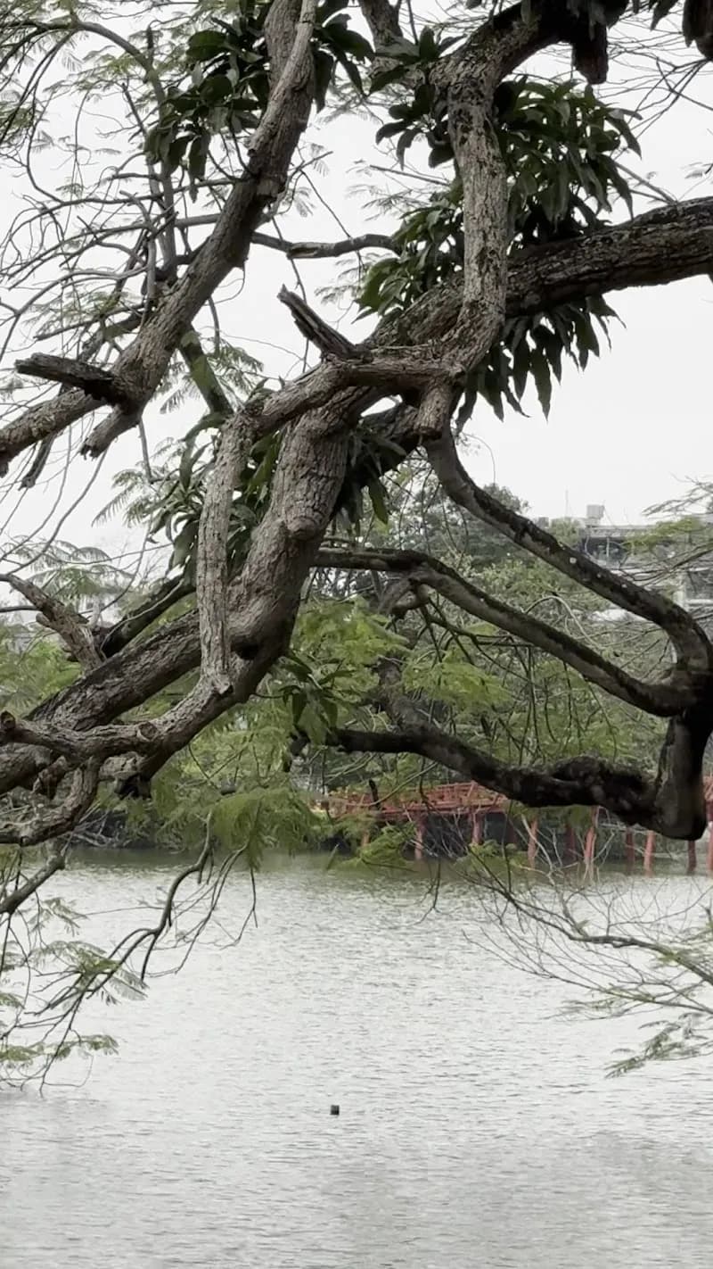 View of Turtle Tower in Hoàn Kiếm, HN
