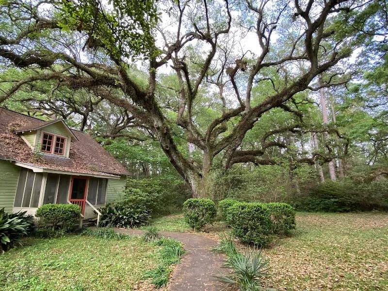 View of Twelve Oaks Nature Trail in Weddington, NC