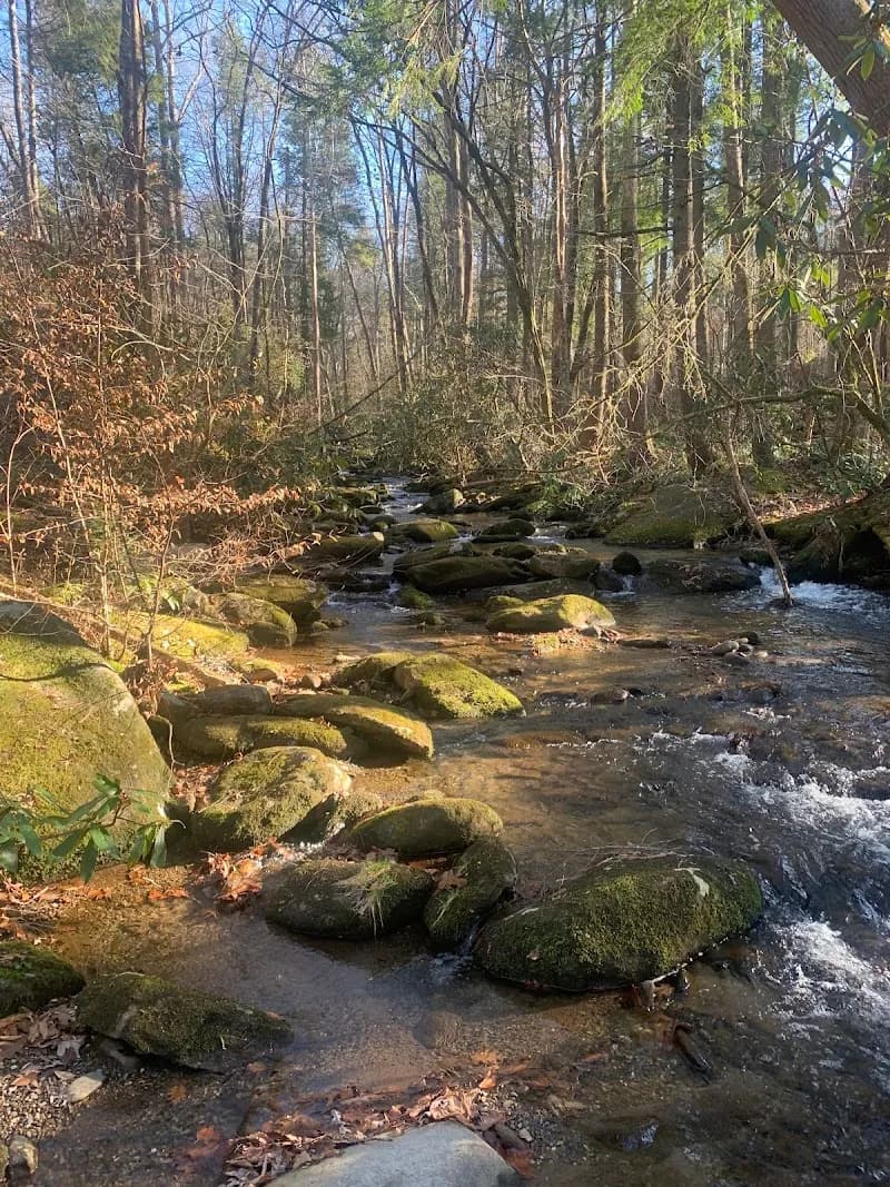 View of Twin Creeks Trail Trailhead in Pittman Center, TN