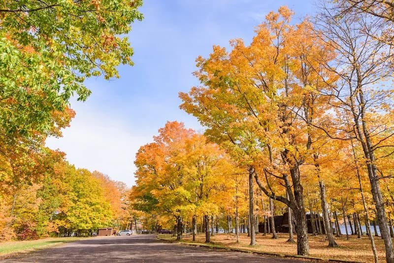 View of Twin Lakes State Park in Eastport, MI
