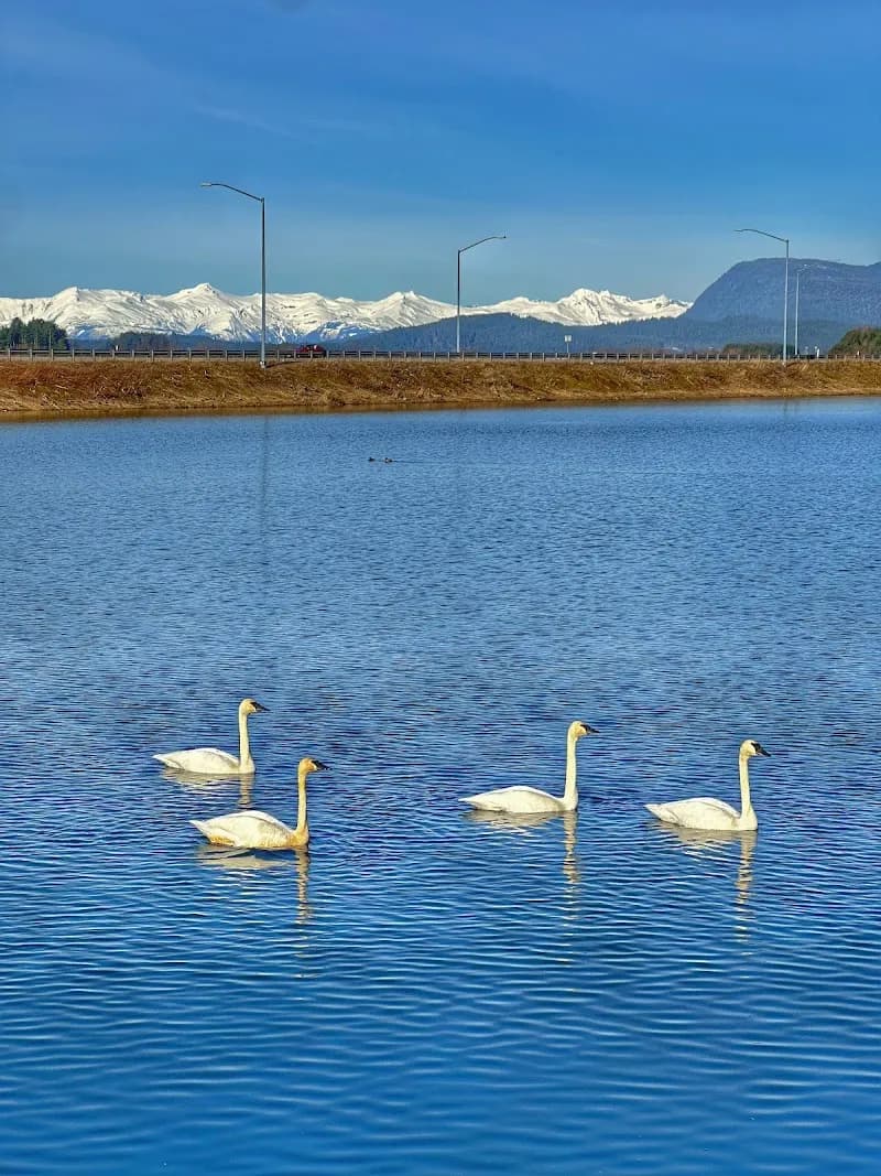 View of Twin Lakes Trail in Juneau, AK