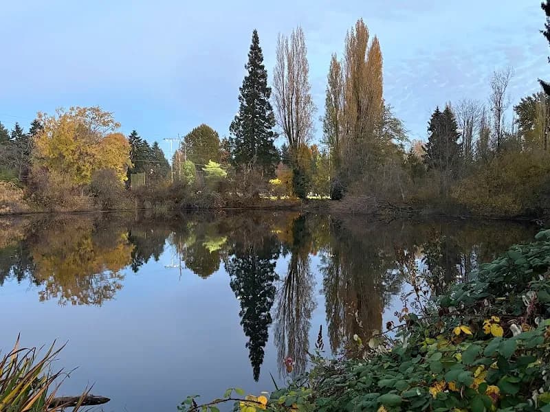 View of Twin Ponds Park in Shoreline, WA