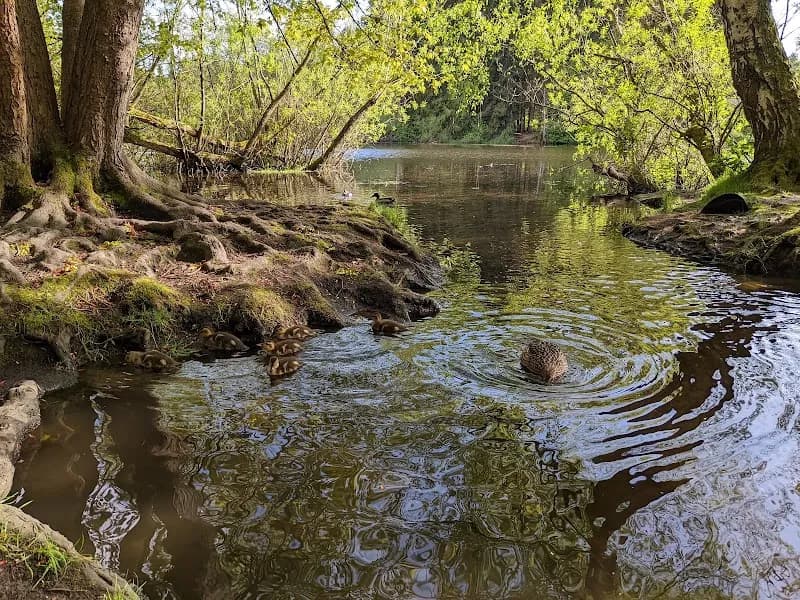 View of Twin Ponds Park in Shoreline, WA