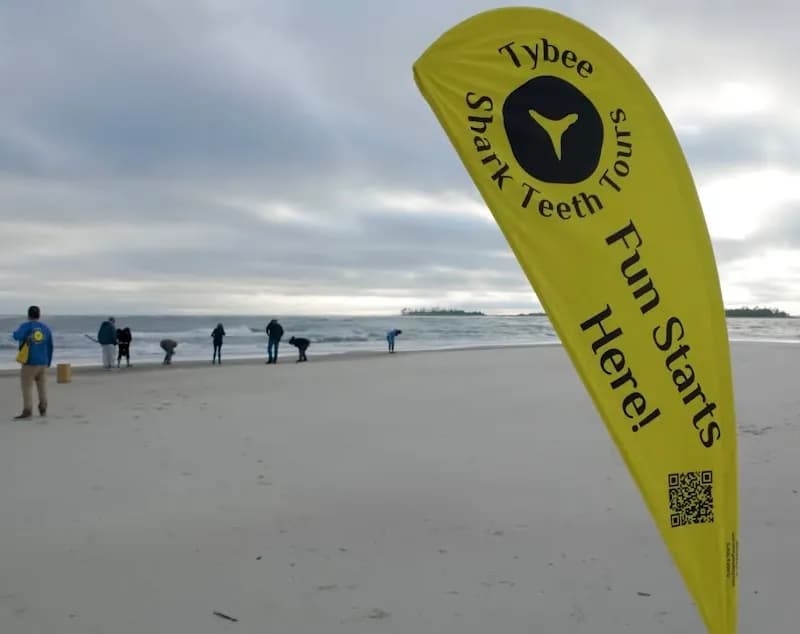 View of Tybee Shark Teeth Tours in Savannah, GA