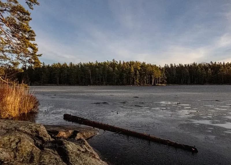 View of Tyresta National Park and Nature Reserve in Tyresö, Stockholm