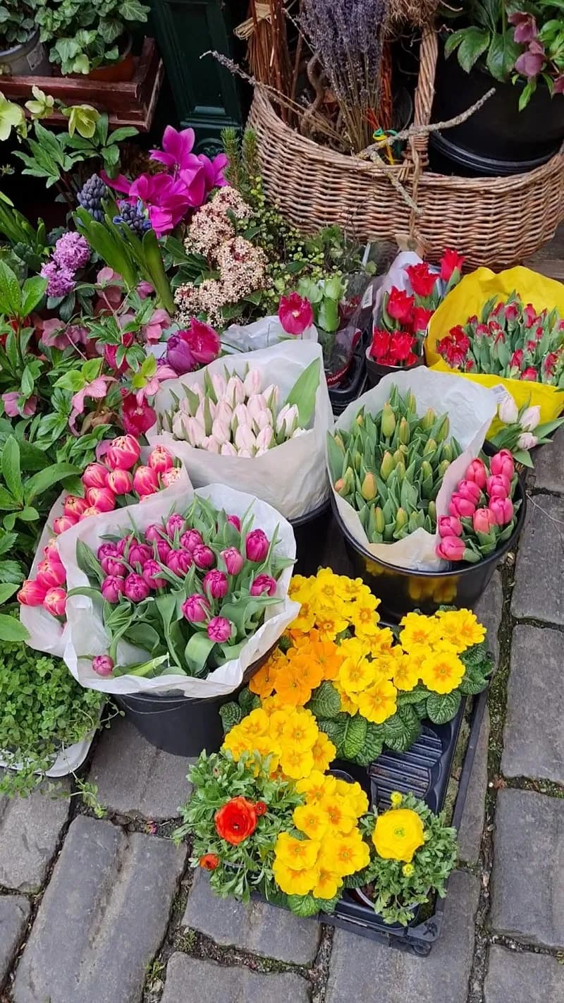 View of U Červeného lva in Brandýs nad Labem, CZ