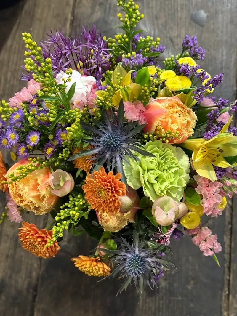 View of U Červeného lva in Brandýs nad Labem, CZ