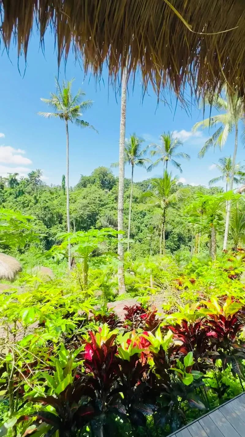 View of Ubud Jungle Swing in Ubud, Bali