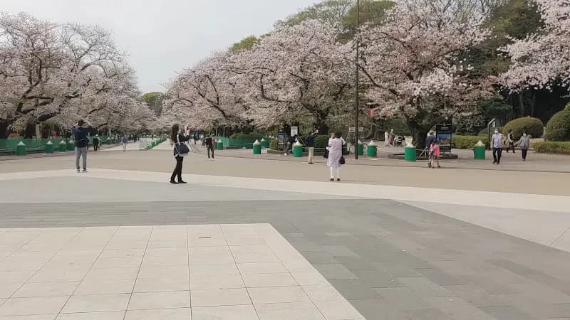 View of Ueno Park in Tokyo, TK